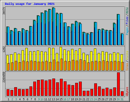 Daily usage for January 2021