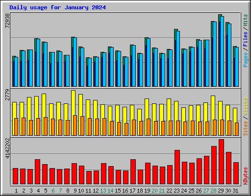 Daily usage for January 2024