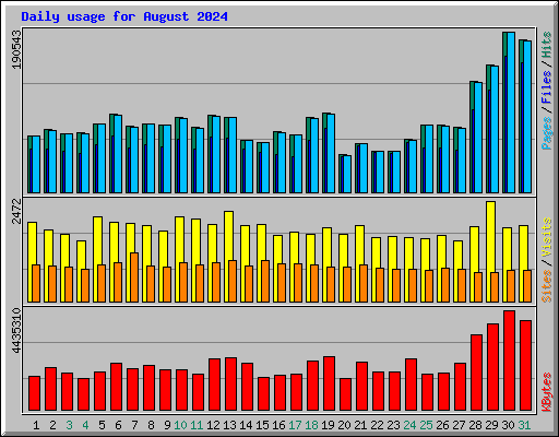 Daily usage for August 2024