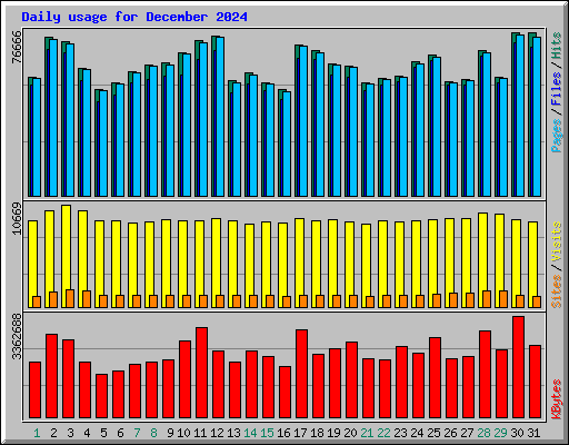 Daily usage for December 2024