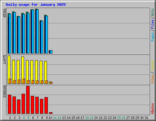 Daily usage for January 2025