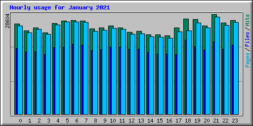 Hourly usage for January 2021