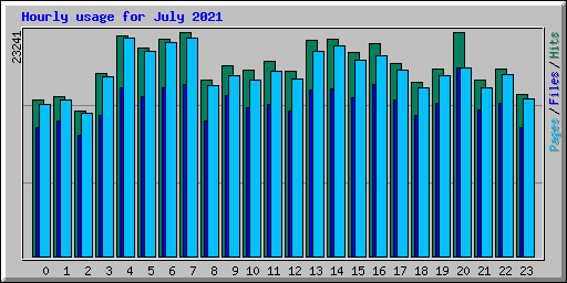 Hourly usage for July 2021