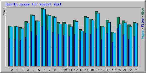 Hourly usage for August 2021