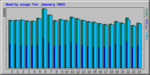 Hourly usage for January 2022