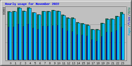 Hourly usage for November 2022