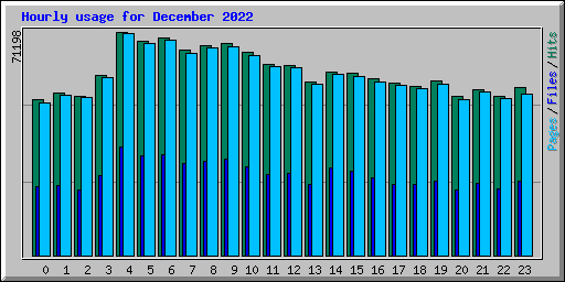 Hourly usage for December 2022