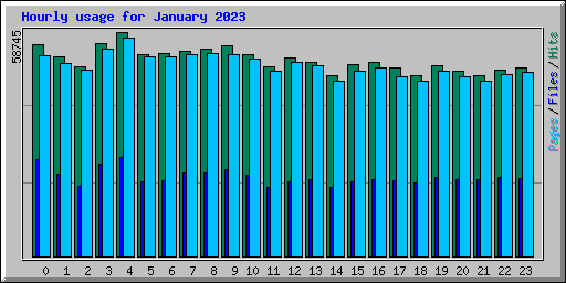 Hourly usage for January 2023