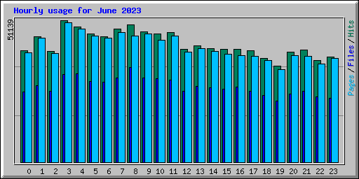 Hourly usage for June 2023