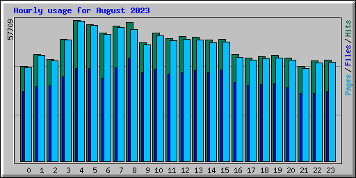 Hourly usage for August 2023