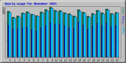 Hourly usage for November 2023