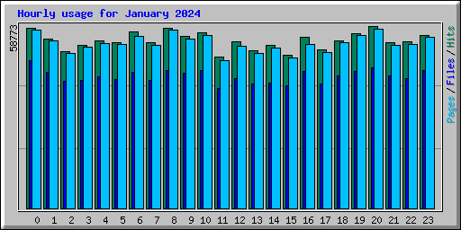 Hourly usage for January 2024