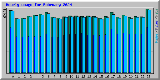 Hourly usage for February 2024