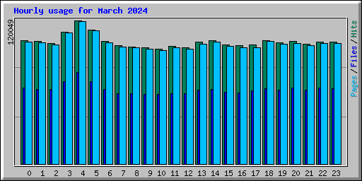 Hourly usage for March 2024