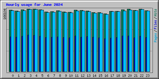 Hourly usage for June 2024