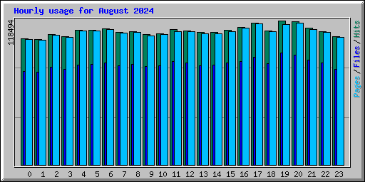 Hourly usage for August 2024