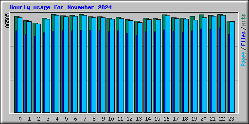 Hourly usage for November 2024