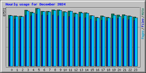 Hourly usage for December 2024