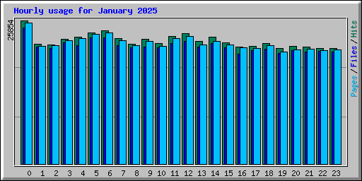 Hourly usage for January 2025