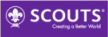 Logo der World Organization of the Scout Movement